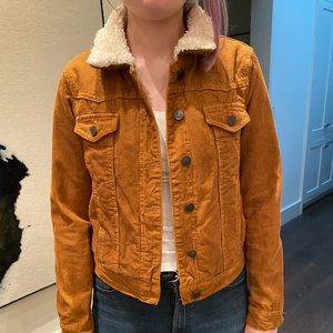 Topshop Corduroy Moto jacket with teddy lining